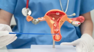Can Women Get Prostate Cancer? Understanding the Female Prostate and Rare Cancer Risks