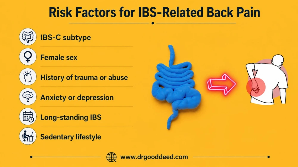 Risk Factors for IBS-Related Back Pain