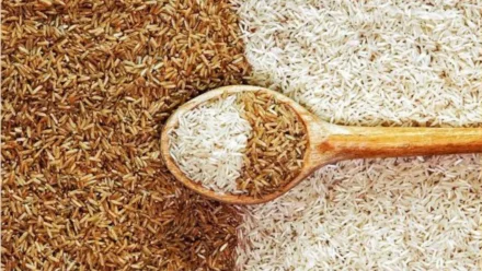 Brown Rice vs White Rice: Which One Is Healthier for You?
