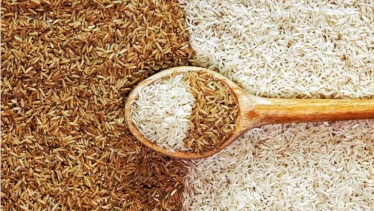 Brown Rice vs. White Rice