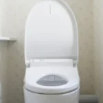 Can You Get an STD From a Toilet Seat? Myths, Facts & How STDs Spread