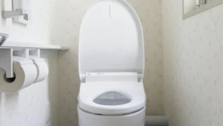 Can You Get an STD From a Toilet Seat? Myths, Facts & How STDs Spread