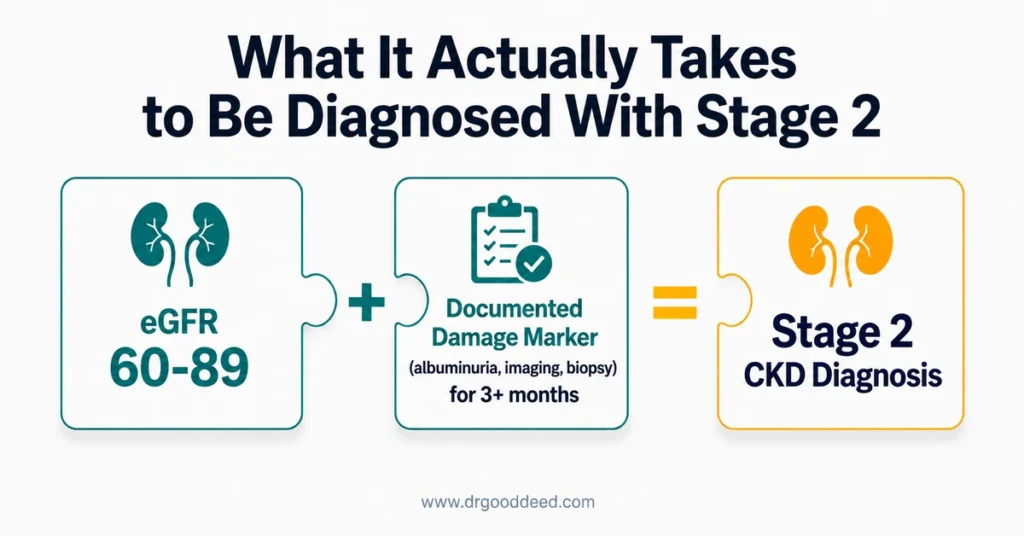 Stage 2 kidney disease diagnosis requirements