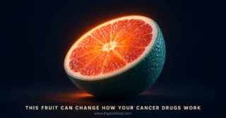 What to Eat During Cancer Treatment: A Guide by Symptom