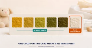 Baby Poop Chart: Colors, Textures, and What They Mean