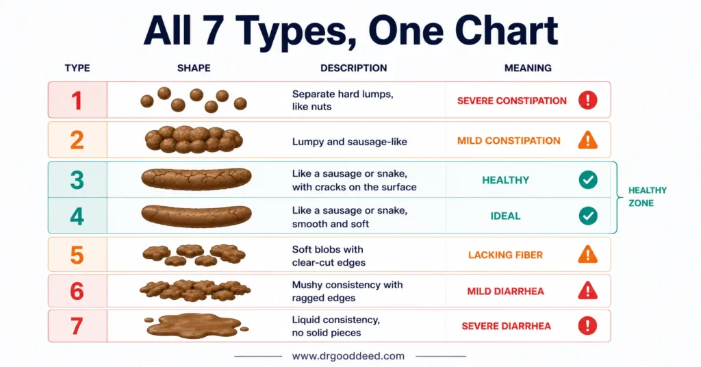 bristol-stool-chart-all-seven-types-explained