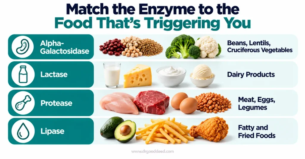 Digestive enzyme food trigger matching chart