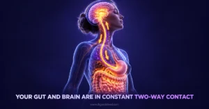 Gut brain axis vagus nerve headache connection