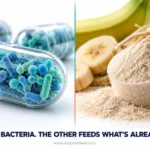Probiotic vs Prebiotic Supplements: What’s the Real Difference?