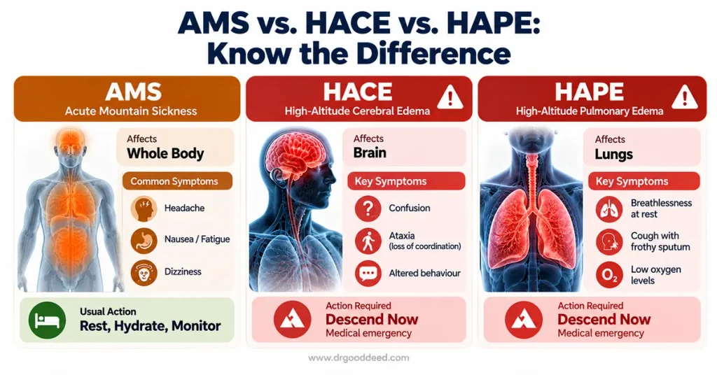 ams-vs-hace-vs-hape-comparison-chart