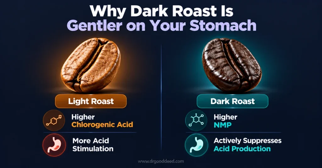 Dark roast vs light roast coffee stomach acid NMP