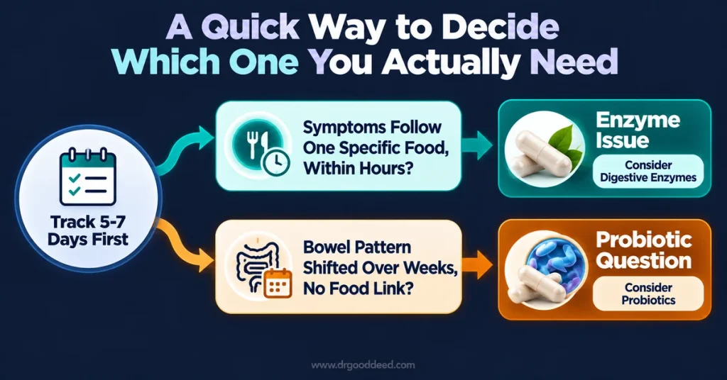 Digestive enzymes probiotics decision framework self check