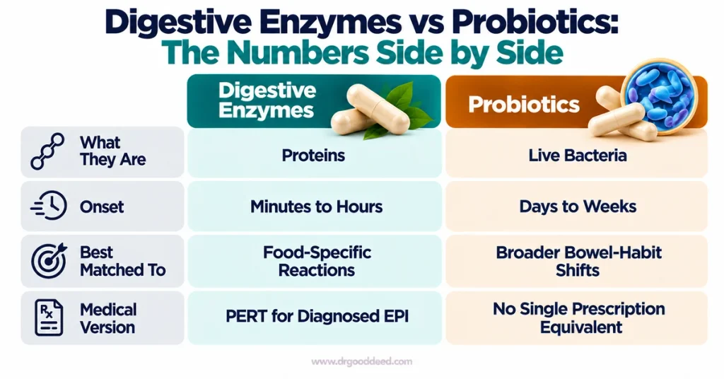 Digestive enzymes vs probiotics comparison table