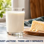 5 Reasons Why You Feel Sick After Eating Dairy (It’s Not Just Lactose)