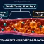 High Triglycerides but Normal Cholesterol: Why It Matters